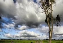 美职足排行榜是如何反映联赛竞争格局的？